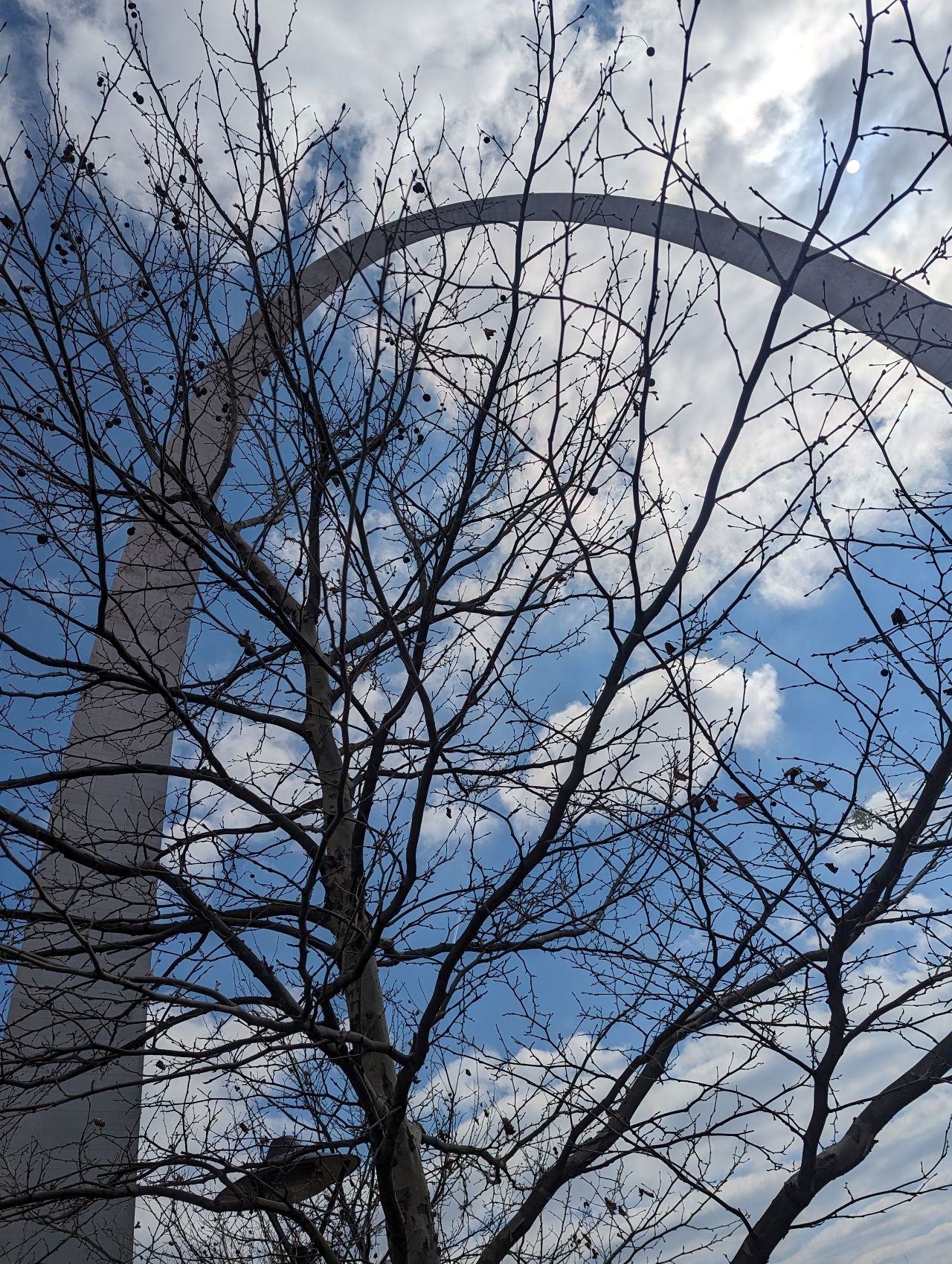 Arch through the Trees